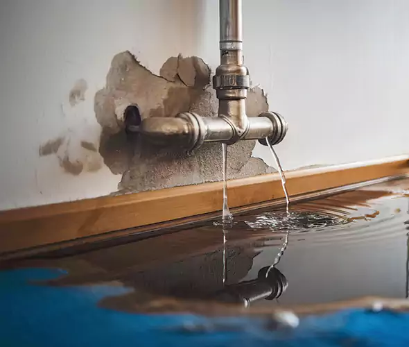 Professional Water Damage Restoration Experts in Frisco, TX — Fast, Reliable & Certified