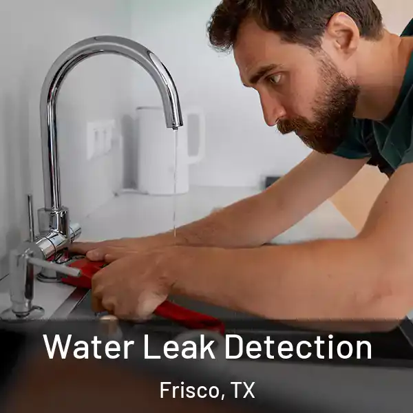  Water Leak Detection Frisco, TX